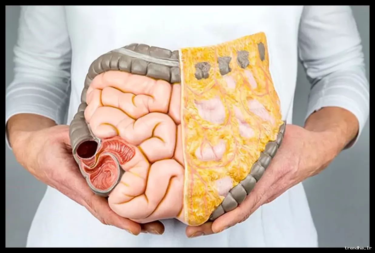 بهترین ویتامین‌ها برای تقویت سلامت دستگاه گوارش