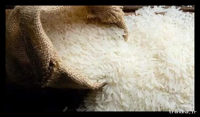 برنج پاکستانی با قیمت 151 هزار تومان در نمایشگاه‌های بهاره عرضه می‌شود