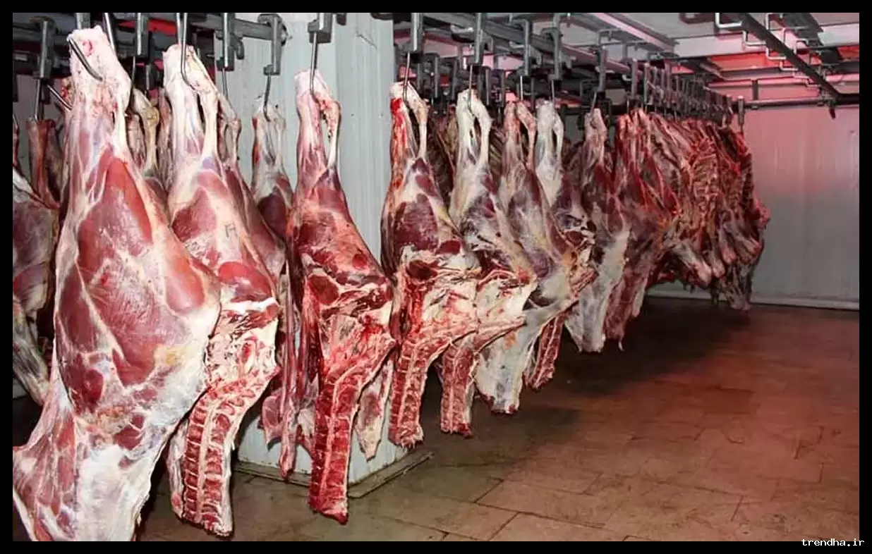 کاهش قیمت‌ها در بازار گوشت با افزایش عرضه و واردات جدید